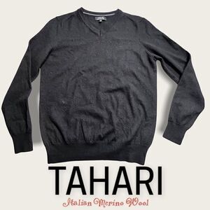 Tahari Mens Tollegno 1900 VNeck Extra Fine Merino Wool Lightweight Pullover Bk